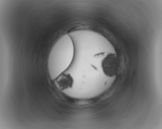 X0000114550749200910190951