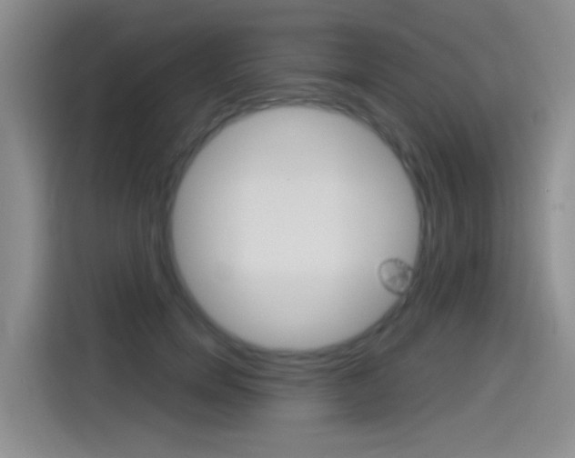 X0000114550750200910190951