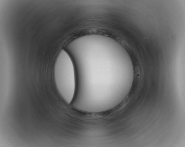 X0000114550754200910190951
