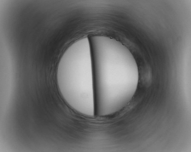 X0000114550758200910190951