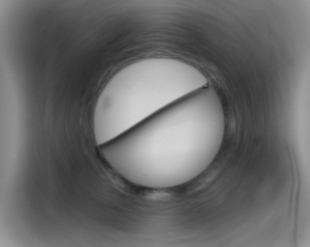 X0000114550759200910190951