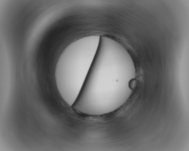 X0000114550763200910190951