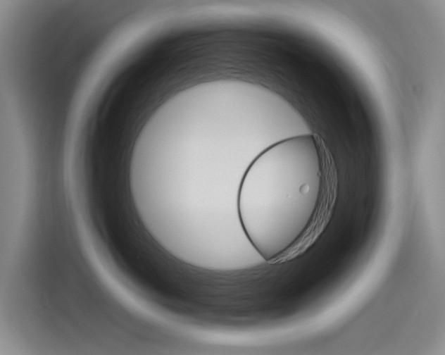 X0000114550766200910190951