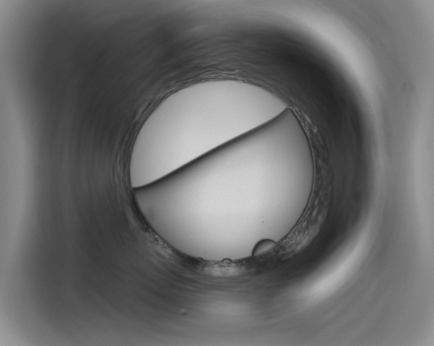 X0000114550767200910190951