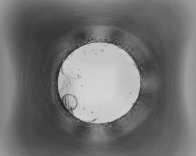 X0000114550769200910190950
