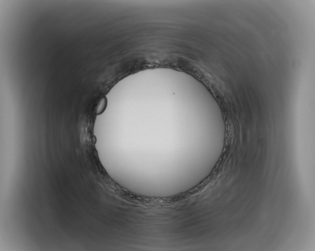 X0000114550770200910190950
