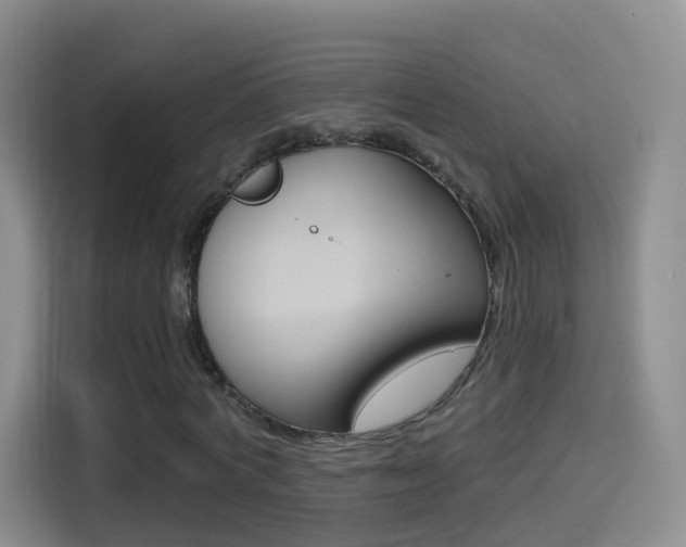 X0000114550772200910190950