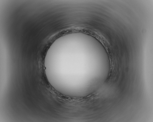 X0000114550773200910190950