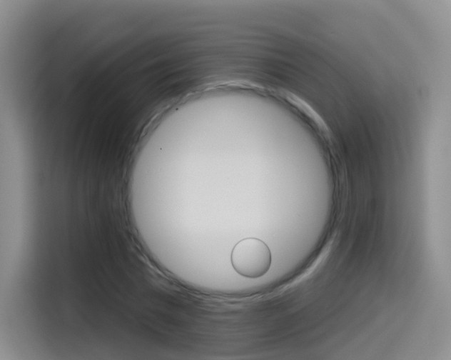 X0000114550777200910190950