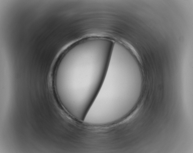 X0000114550779200910190950
