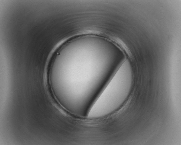 X0000114550780200910190950