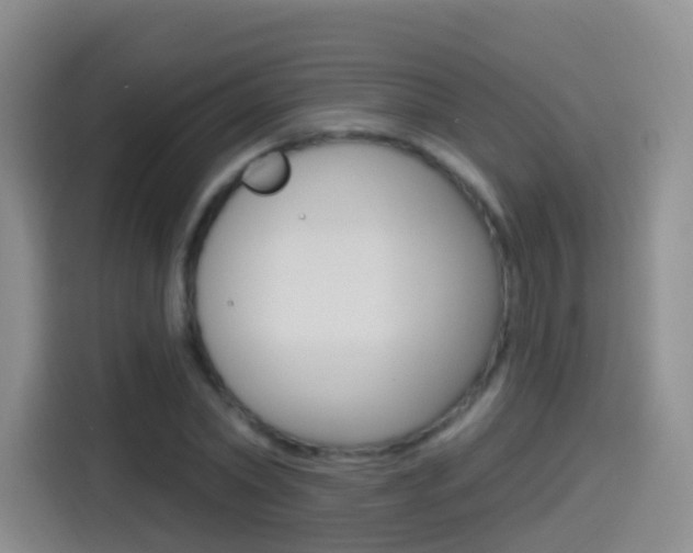 X0000114550782200910190950