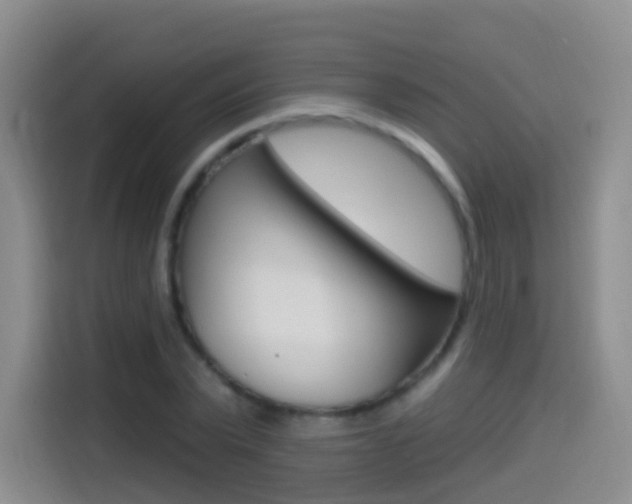 X0000114550783200910190950