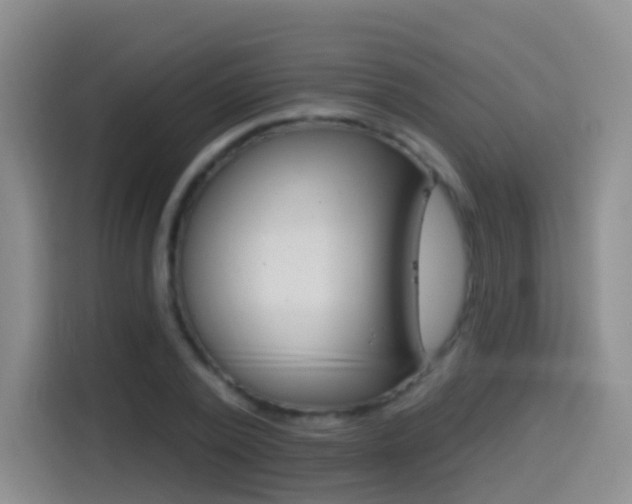 X0000114550784200910190950