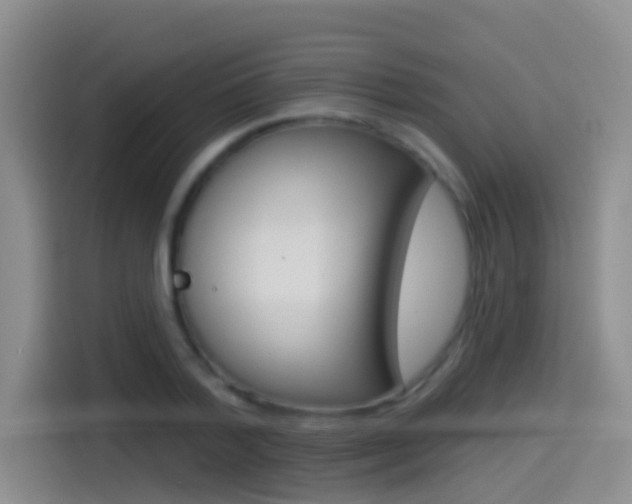X0000114550788200910190950