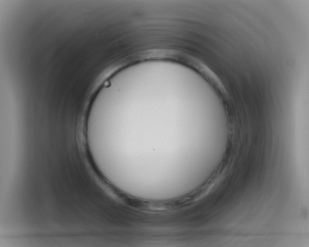 X0000114550794200910190950