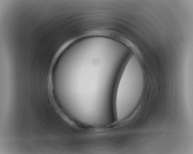 X0000114550796200910190950