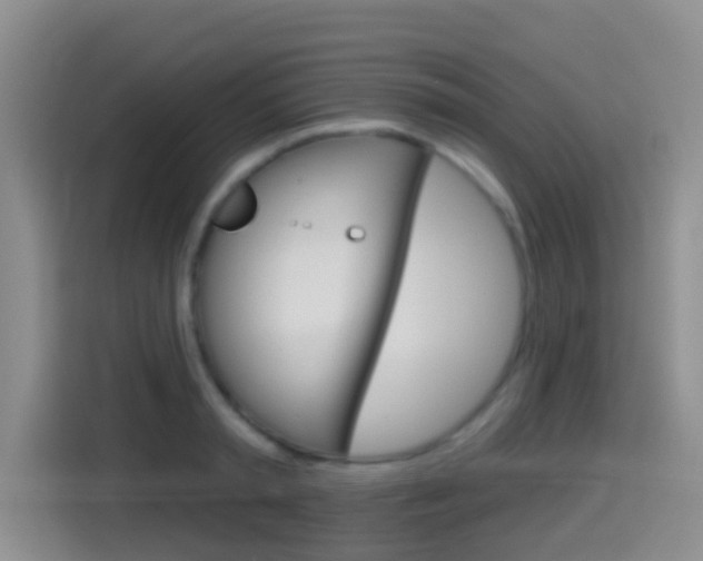 X0000114550797200910190950