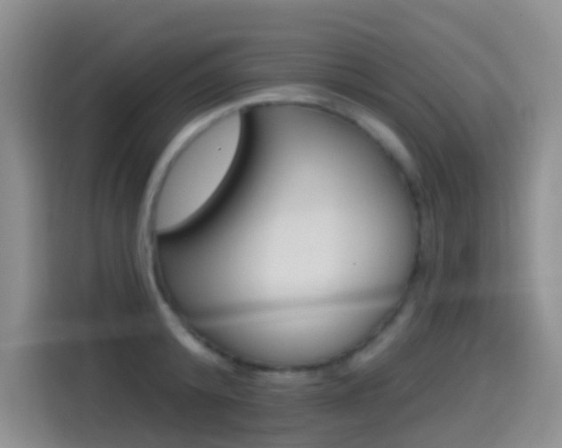 X0000114550800200910190950