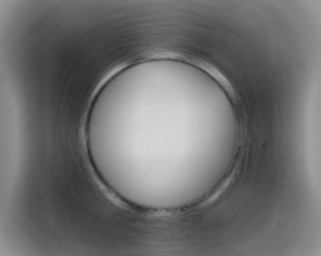 X0000114550806200910190950