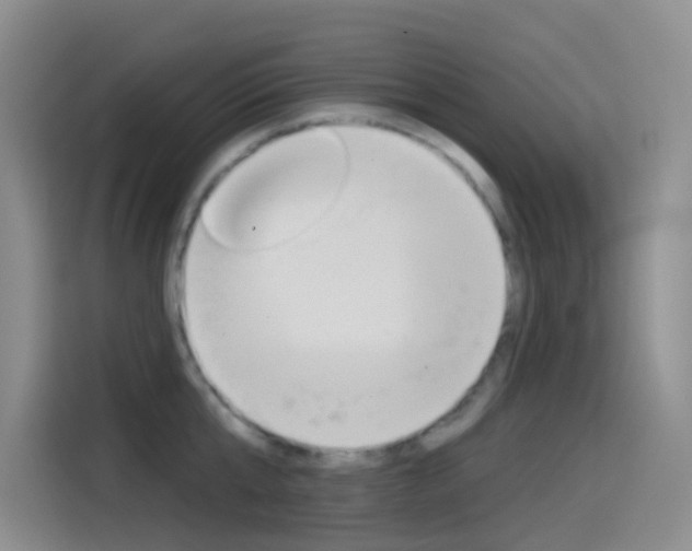 X0000114550807200910190950