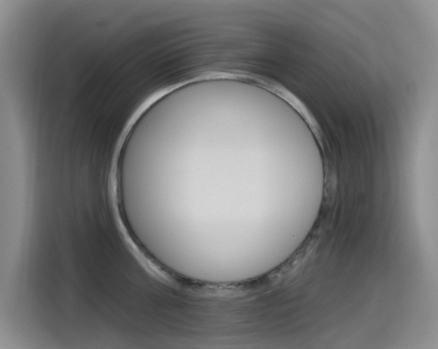 X0000114550811200910190950