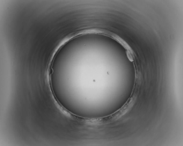 X0000114550813200910190950