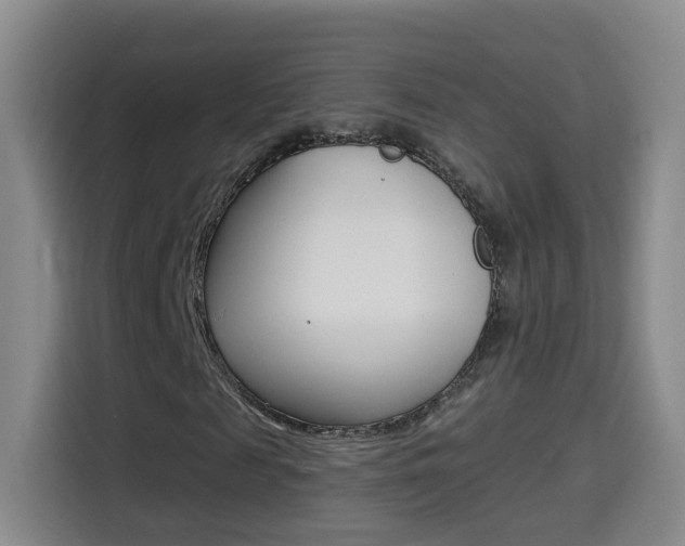 X0000114550817200910190949