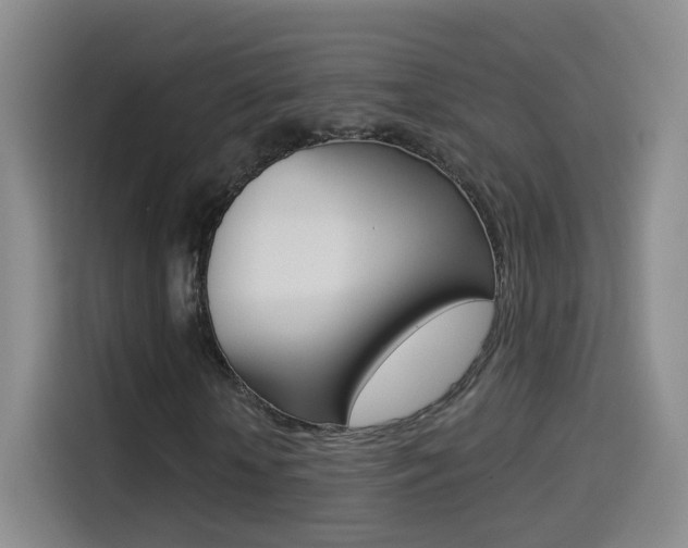 X0000114550818200910190949