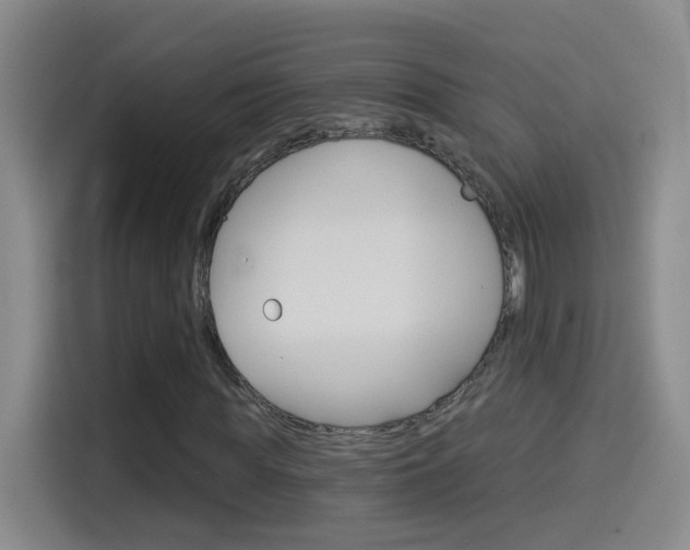 X0000114550819200910190949