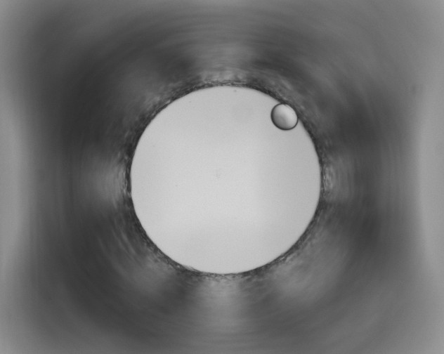 X0000114550820200910190949