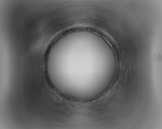 X0000114550821200910190949