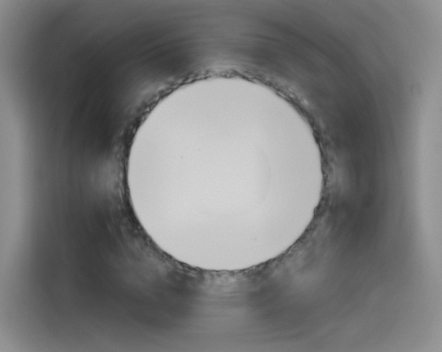 X0000114550824200910190949