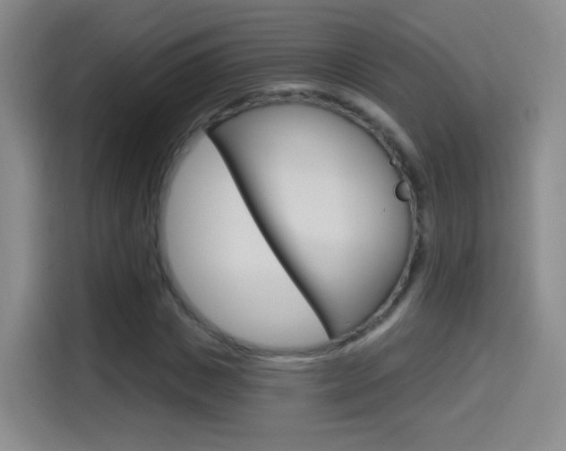 X0000114550825200910190949