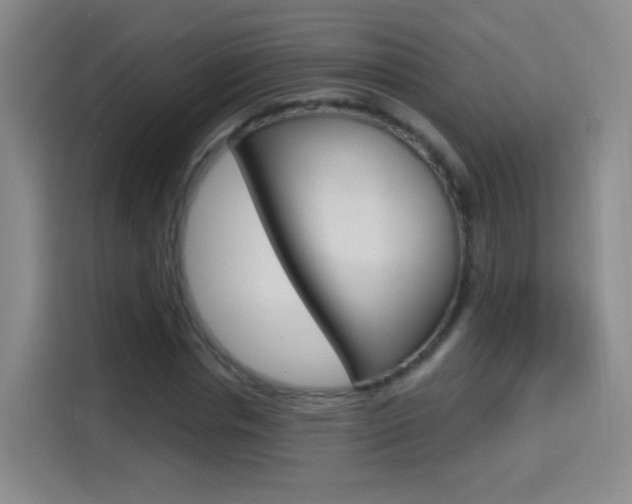 X0000114550826200910190949