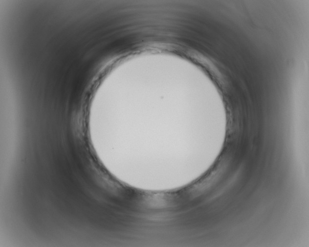X0000114550828200910190949