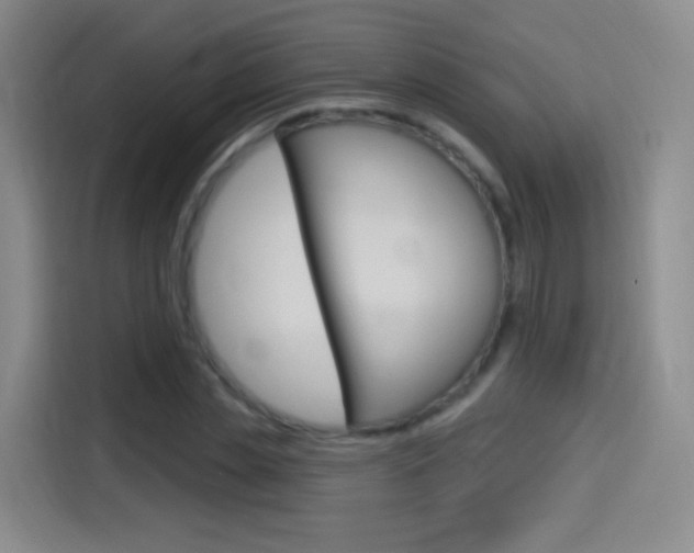 X0000114550829200910190949