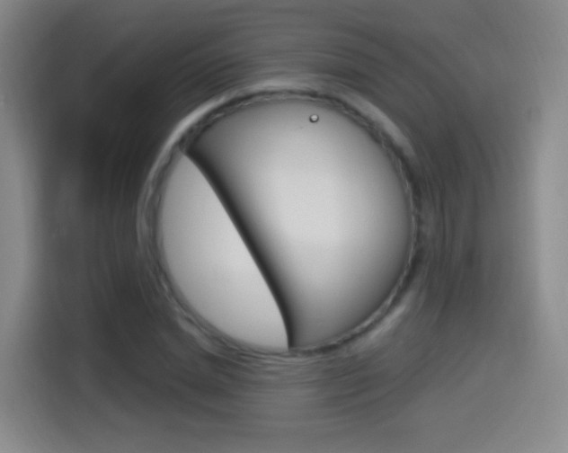 X0000114550830200910190949