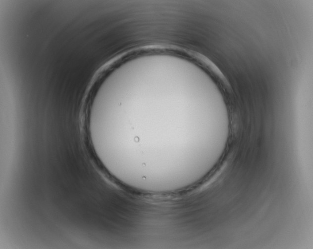 X0000114550831200910190949
