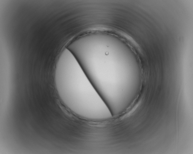 X0000114550833200910190949