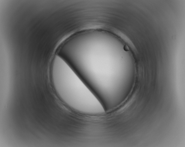 X0000114550834200910190949
