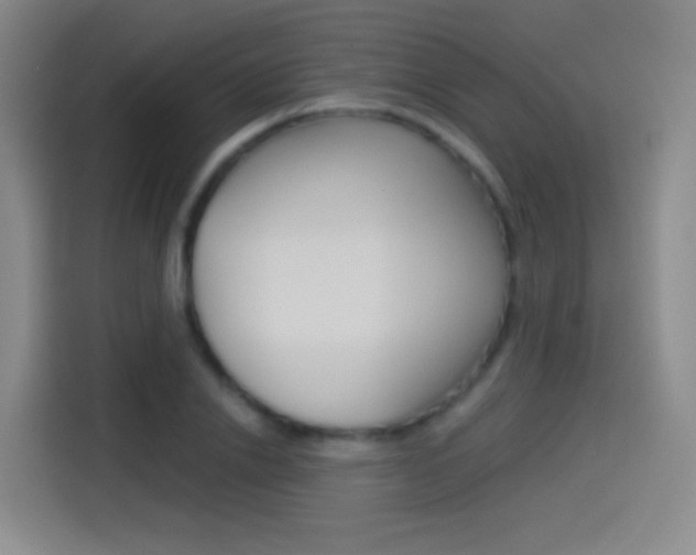 X0000114550838200910190949