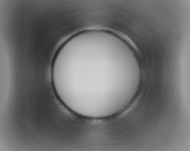 X0000114550839200910190950