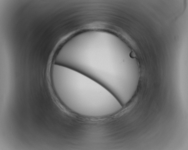 X0000114550840200910190950