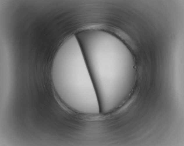X0000114550841200910190950