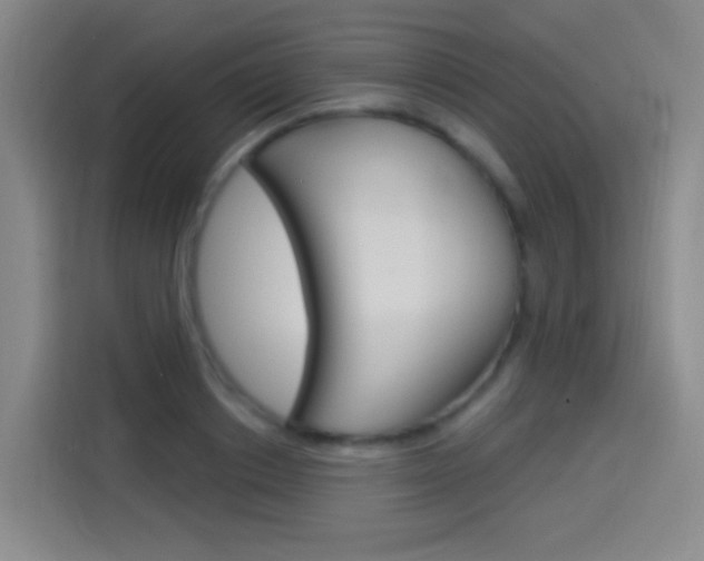 X0000114550842200910190950