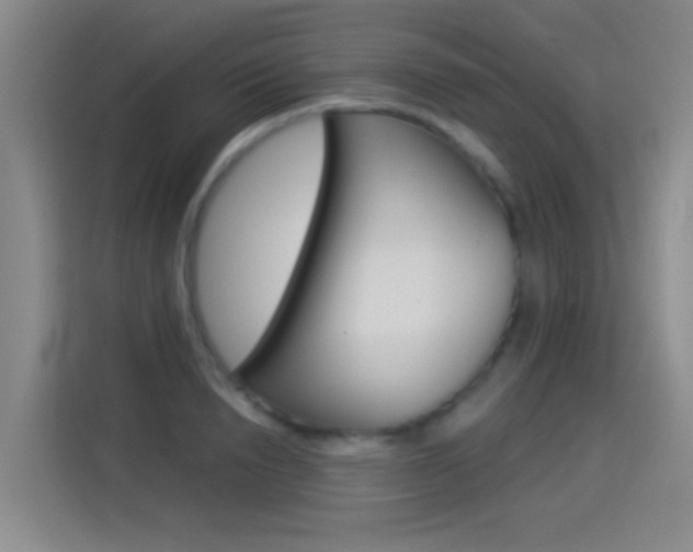 X0000114550846200910190950