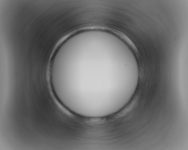 X0000114550847200910190950