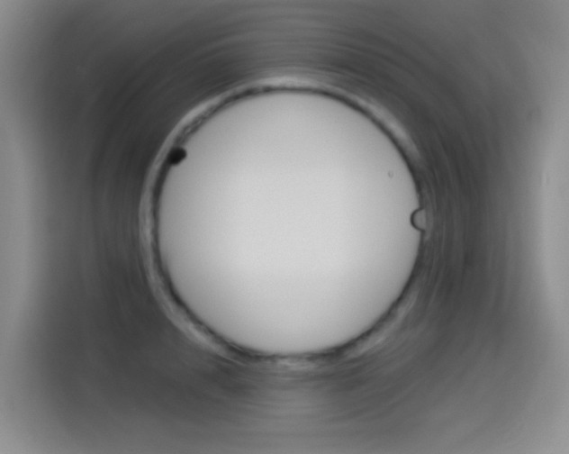 X0000114550848200910190950