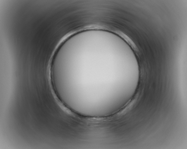 X0000114550854200910190950